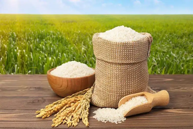 تصویری از برنج ایرانی و اصالت